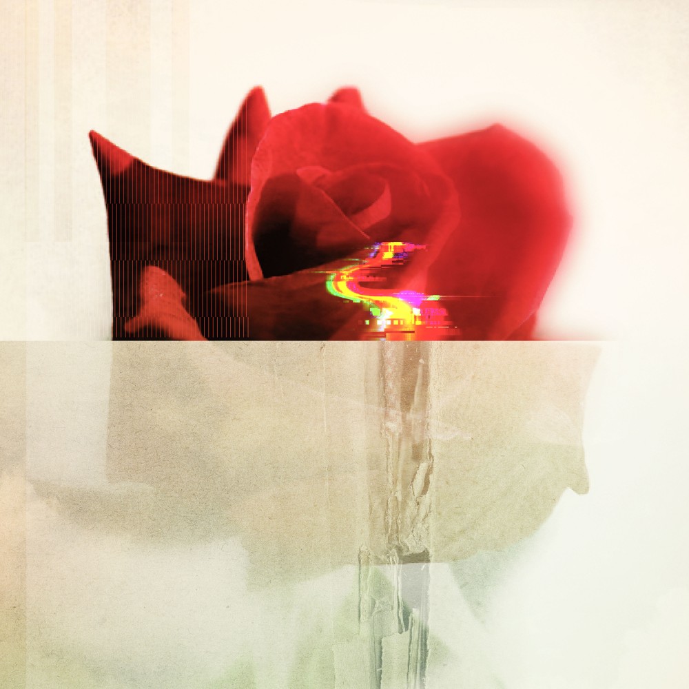 「Lovey Dovey」